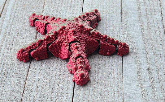 StarFish fidget