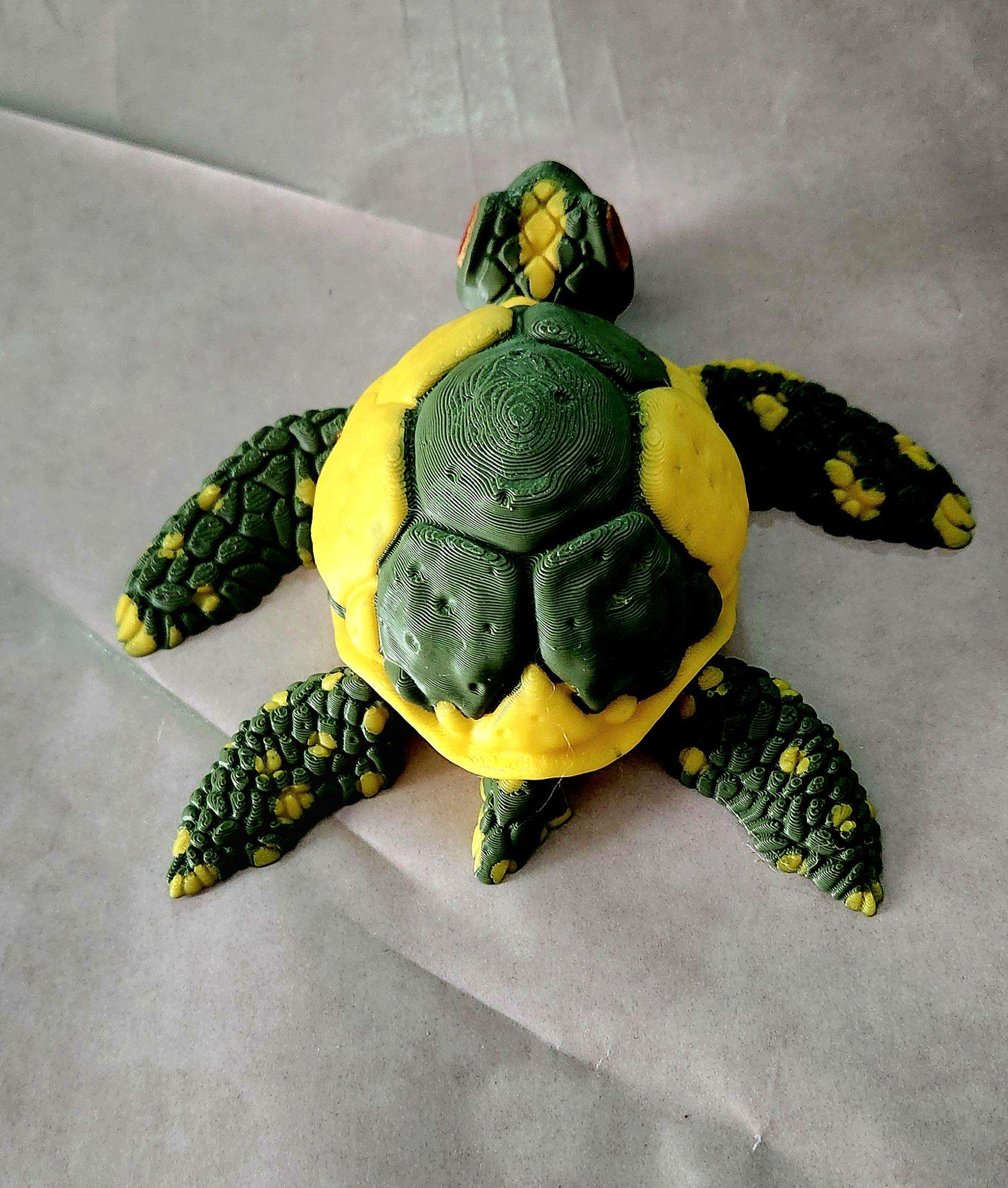 3D Sea Turtle