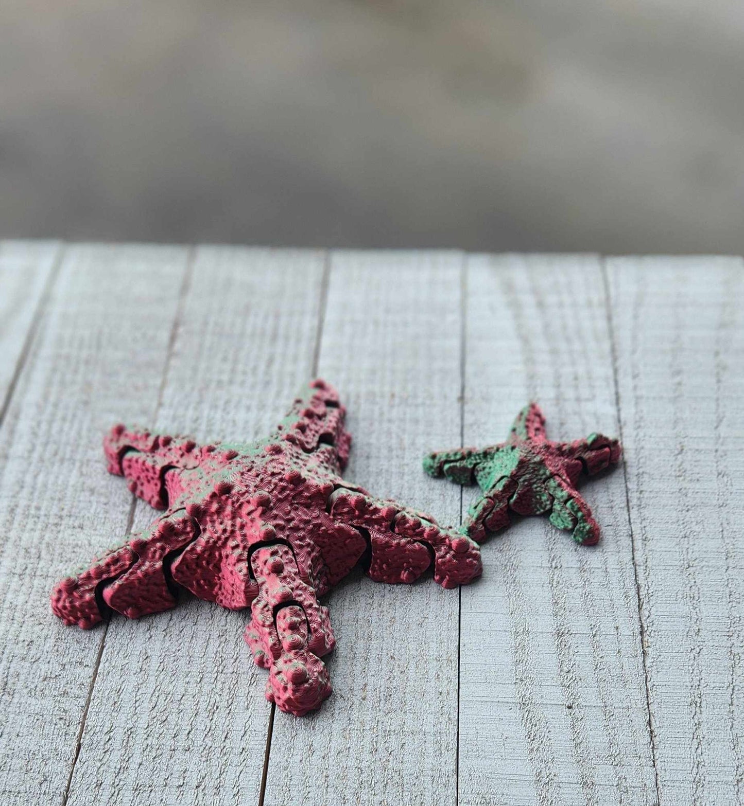 StarFish fidget